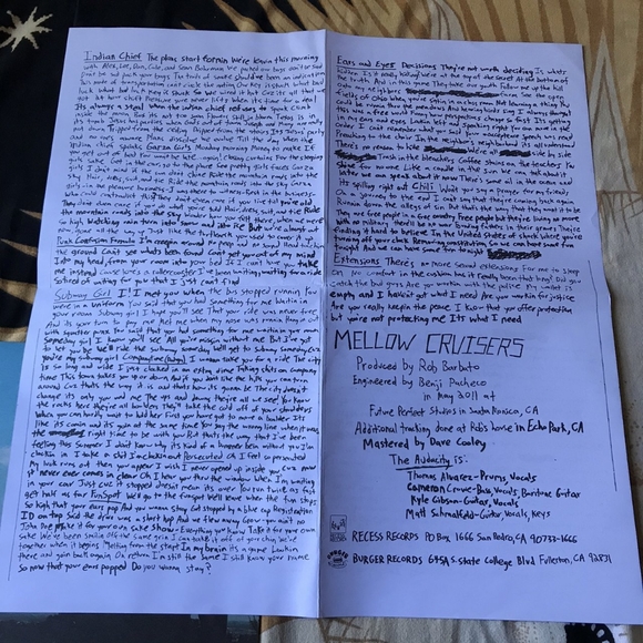 "Mellow Cruisers" By "Audacity", Brand New Marbled Periwinkle Vinyl, Punk - Picture 2 of 4